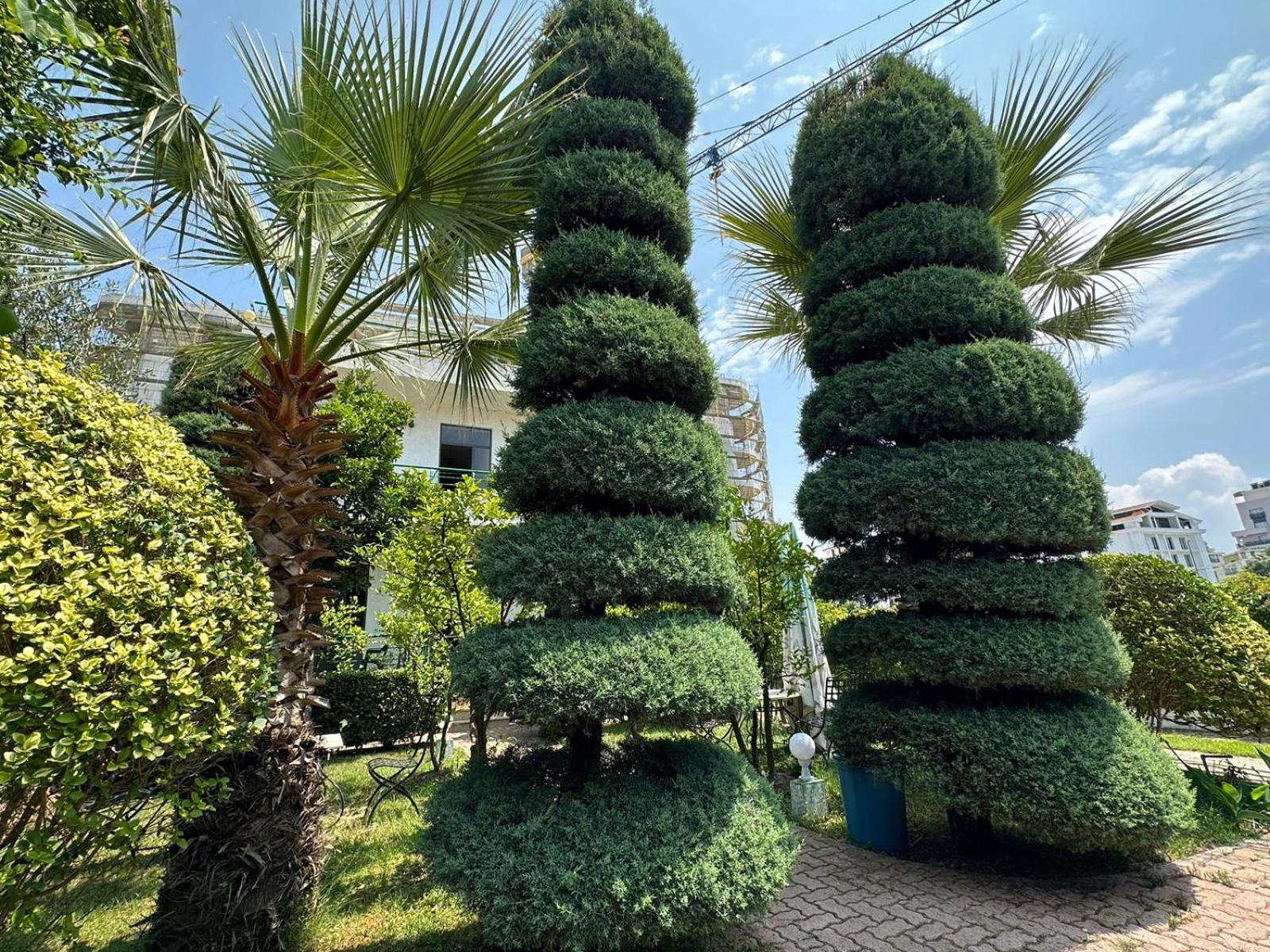 A-Vila Golem (Tirana) Exterior foto